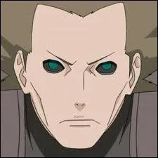 J'tais un shinobi du village d'Iwa. Je faisais partie de l'unit d'explosion avec Deidara. Mon Kekkei Genkai est le Bakuton. Je suis donc :
