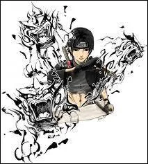 Je remplace Sasuke au sein de l'quipe 7. Je suis trs dou en dessin et peinture, c'est d'ailleurs ma principale arme de combat. Je m'appelle :