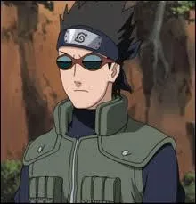 Je suis un Tokubetsu Jnin. Je fais partie du village de la Feuille. J'accompagne Naruto sur l'le Tortue. Je m'appelle :