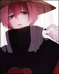 Je suis le marionnettiste de l'Akatsuki. Je suis un nukenin du village de Suna. Je suis donc :