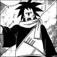 Je suis le gardien de la Tortue-le appartenant  Kumo. Mon meilleur ami est Killer B. Qui suis-je ?