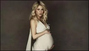 Non vous ne rvez pas, sur cette image, on voit bien que Shakira...