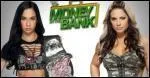AJ Lee vs Kaythlin : qui a gagn le Diva Championship ?