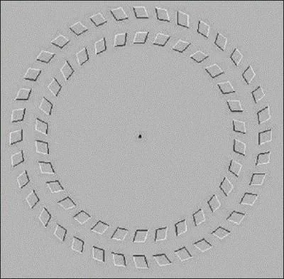 Cliquez sur l'image puis avancez et reculez votre tte en regardant le point du milieu, que font les cercles ?
