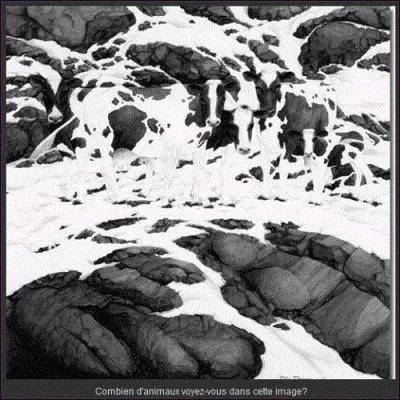 Combien de vaches comptez-vous ?