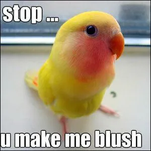 Ne sois pas timide !  plasma ou  plaquettes, il est timide et nous fait rougir !