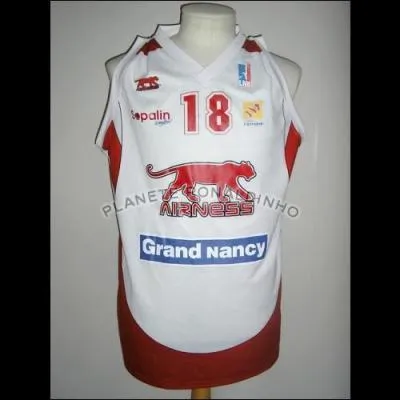 A quelle quipe appartient ce maillot ?