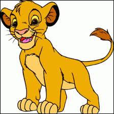 Les personnages de simba