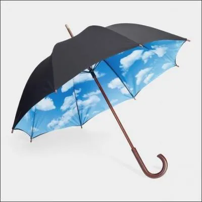 Comment dit-on un  parapluie  en anglais ?