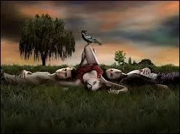 Quand ont-ils tourn la premire saison ?