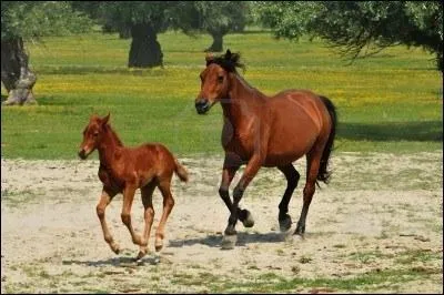 Lesquelles ? (Dans l'ordre si possible ! )