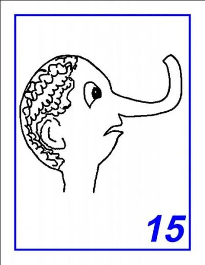 Quel est le nom de l'animal reprsent ?