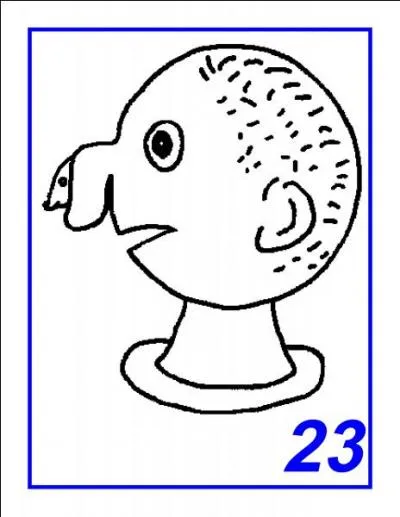 Quelle est la race de chiens reprsente ?