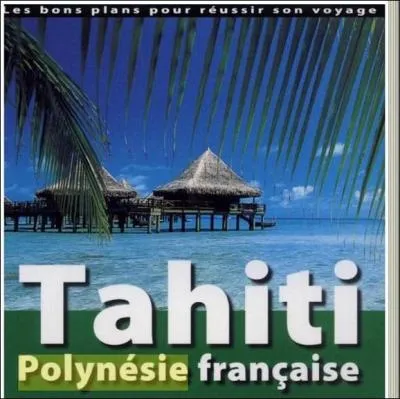 Quel guide touristique promet les bons plans pour russir son voyage ?