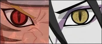 Combien de fois a-t-il combattu Orochimaru ?