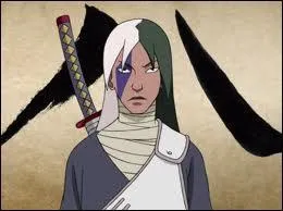 Comment se nommait le cousin de Bee et ancien jinchriki d'Hachibi ?