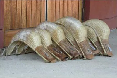 Quel sport pouvez-vous pratiquer avec l'un de ces instruments ?