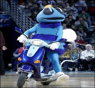  quelle quipe appartient cette mascotte ?