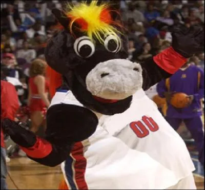  quelle quipe appartient cette mascotte ?