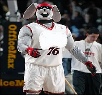  quelle quipe appartient cette mascotte ?