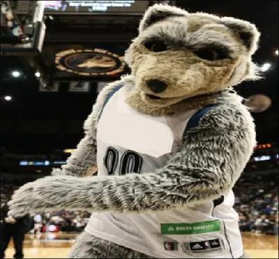  quelle quipe appartient cette mascotte ?