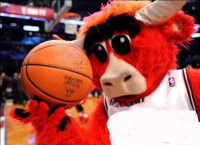  quelle quipe appartient cette mascotte ?