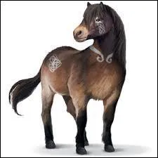 Est-ce un divin, spcial ou sauvage d'Equideow ?