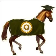 Quel est le nom de ce cheval ?