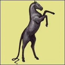 Quel est ce cheval lgendaire d'Equideow ?