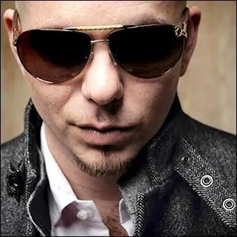 En quelle anne le single  Feel This Moment   de Pitbull est-il sorti ?