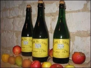 D'un go�t fruit�, il est un peu plus acide que ses cousins bretons et normands. Cette sp�cialit� du pays d'Othe, dans l'Aube, est tr�s ancienne. C'est le :