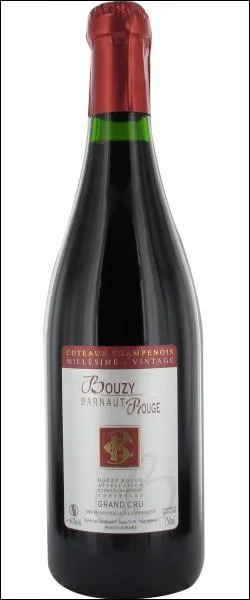 Ce vin tranquille AOC C�teaux Champenois est rare et pr�cieux. Il �tait servi aux sacres des rois � Reims et � la table de Louis XIV. Il fait partie du patrimoine des vins de France. C'est le :