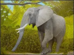 Je suis un animal plutt gros, je vis en Afrique, en Asie, je suis _________.