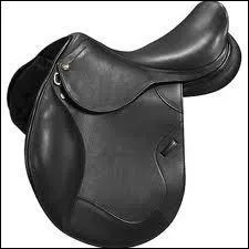 J'entretiens les cuirs avec ...