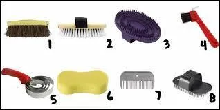 De quels instruments de pansage s'agit-il ?