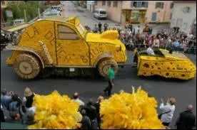 Grardmer ( 88 ) est connue entre autres pour sa clbre Fte des Jonquilles. Cette fte se droule ...