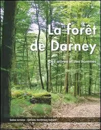 Quelle espre d'arbre fait la rputation de la Fort de Darney ?