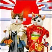 Et encore merci pour vos ractions. Comment pourrais-je vous dire  merci  en japonais ?