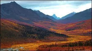  Sweet Home Alabama  est une chanson du groupe...