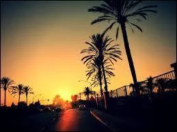 Et  California Dreamin  est une chanson du groupe...