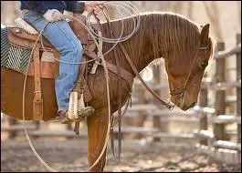 Et celui-ci bien connu pour ses bonnes comptences en western ?