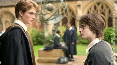 Qui vient rendre visite  Harry dans la salle de bains des prfets ?