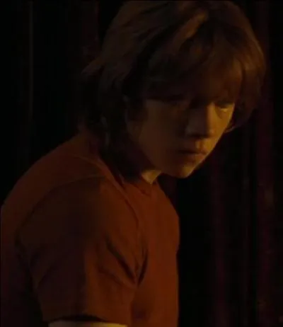 Pour quelle raison Ron s'est-il disput avec Harry ?