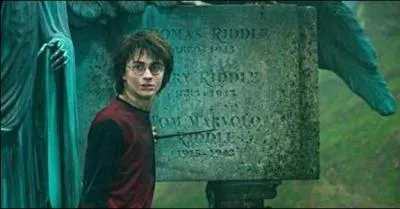 Qui sont les premiers  toucher la coupe situe au milieu du terrain de Quidditch, lequel a t modifi en labyrinthe gant ?