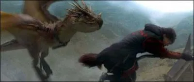 Qui dit  Harry que la premire preuve consiste  battre des dragons ?