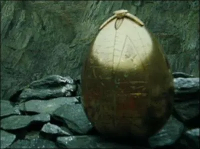 Que se passe-t-il aprs qu'Harry ait rcupr l'oeuf des griffes du Magyar  pointes ?