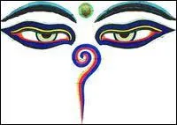 Quel est l'animal possdant les plus grands yeux du monde ?