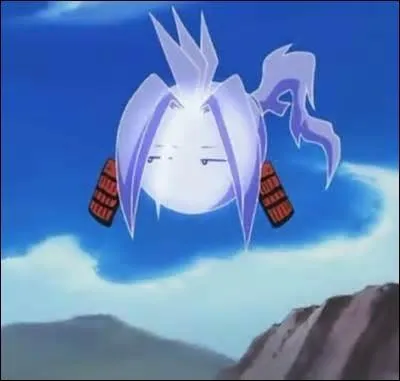 Il est l'esprit de Yoh. C'est un bon samoura.