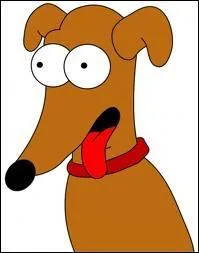 Leur chien s'appelle :