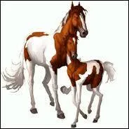 Est-ce des chevaux ordinaires ?